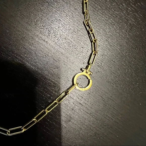Gorjana Gold Link Necklace - Picture 4 of 5